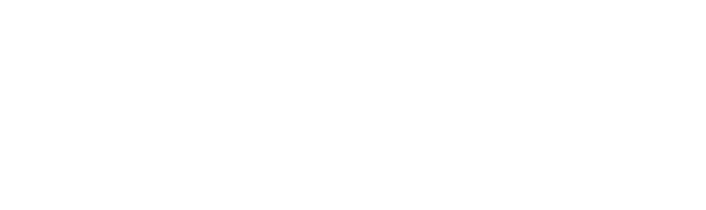See Z
